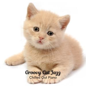 Groovy Cat Jazz: Chilled Out Piano - French Jazz Bar