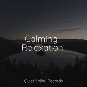 Calming Relaxation - Meditation Relaxation Club