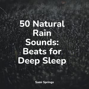 50 Relaxing Rain Sounds for Spa & Meditation - Meditation