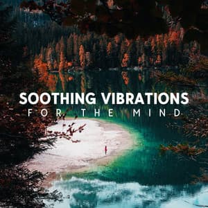 Soothing Vibrations for the Mind - Deep Lounge