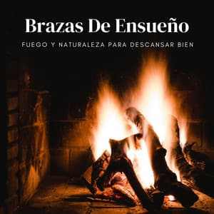 Brazas De Ensueño: Fuego Y Naturaleza Para Descansar Bien - Soñar con Chimenea