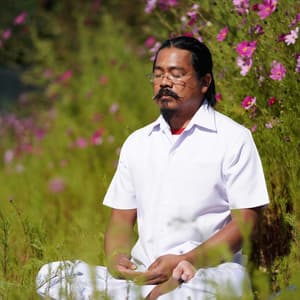 Lofi Chill for Reflective Meditation - Medi Rela