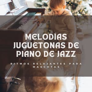 Melodías Juguetonas De Piano De Jazz: Ritmos Relajantes Para Mascotas - Relajante piano hombre