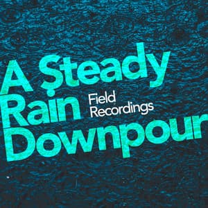 A Steady Rain Downpour - Field Recordings
