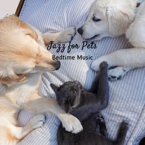 Jazz for Pets: Bedtime Music - Classic Jazz