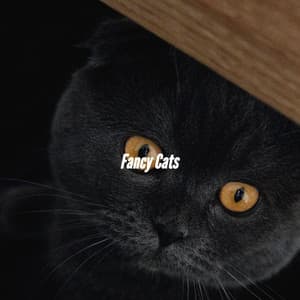 Fancy Cats - Classy Piano Jazz Background