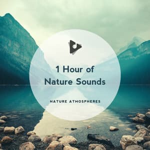 1 Hour of Nature Sounds - Nature Sounds ASMR