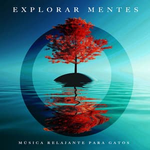 Explorar mentes - Música Relajante para Gatos