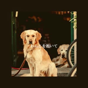 わんこを抱いて - Musica di Sottofondo Jazz