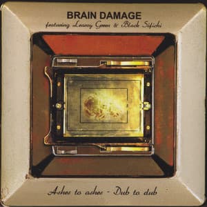 Ashes To Ashes - Dub To Dub - Brain Damage