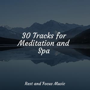 30 Tracks for Meditation and Spa - The White Noise Zen & Meditation Sound Lab
