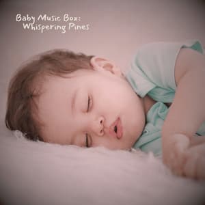 Baby Music Box: Whispering Pines - Baby Dreamcatcher
