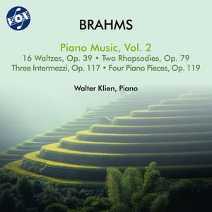 Brahms: Piano Music, Vol. 2 - Johannes Brahms