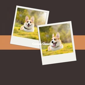 Canine Classics - Weekend Jazz Chill