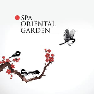 Spa Oriental Garden – Healing Sounds Therapy 2021, Relaxation Meditation, Deep Massage, Garden Mood - Alicia Bliss