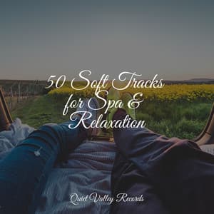 50 Soft Tracks for Spa & Relaxation - Rain Drops for Sleep