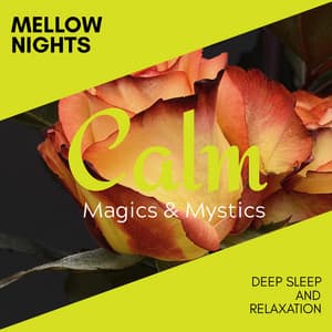 Mellow Nights - Deep Sleep and Relaxation - Relaxing Minds