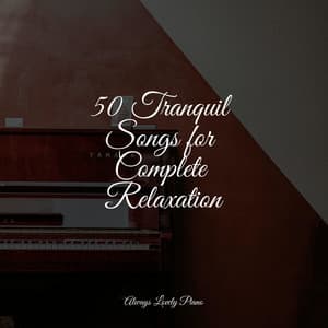 Calming Ambient Melodies | Quiet Listening - Soulful Piano Group