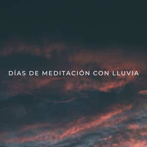 Días De Meditación Con Lluvia - Biblioteca XLE de sonidos de la naturaleza