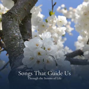 Songs That Guide Us Through the Storms of Life - Tonal Meditation Collective