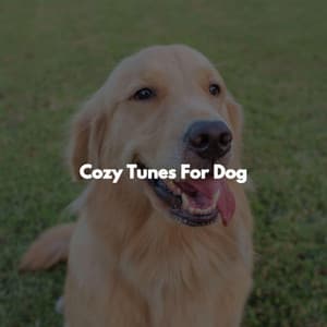 Cozy Tunes For Dog - Súper Música de Elevador