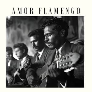 Amor Flamengo - Laurindo Almeida Quartet