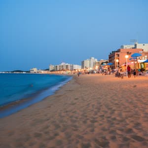 Melodías Marinas: Olas De Dicha Oceánica Para Relajarse - Naturaleza de Suecia