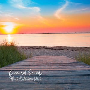 Binaural Sounds: Path of Relaxation Vol. 2 - Classical Music For Relaxation
