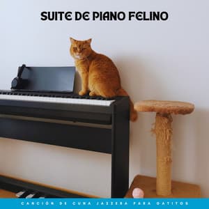 Suite De Piano Felino: Canción De Cuna Jazzera Para Gatitos - Música de piano para momentos de tranquilidad