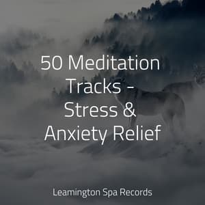 50 Meditation Tracks - Stress & Anxiety Relief - Sleep Songs 101