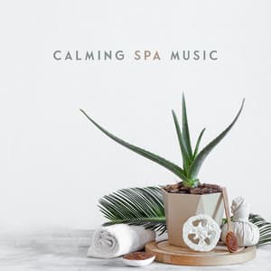 Calming Crystalline Flow - Paula New