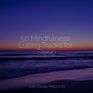 50 Mindfulness: Lulling Tracks for Sleep - Relaxing Mindfulness Meditation Relaxation Maestro