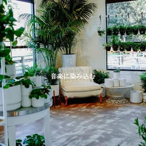 音楽に染み込む - Bossa Cafe Deluxe