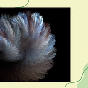 High-class Ambiance for Rejuvenating Aprils - Playlist du Dîner