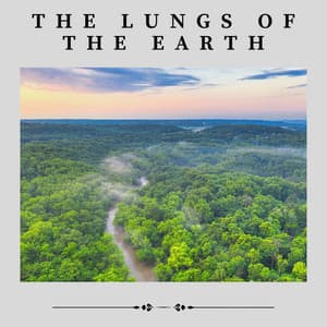 The Lungs of the Earth - Zen Garden Secrets