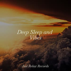 Deep Sleep and Vibes - Música a Relajarse