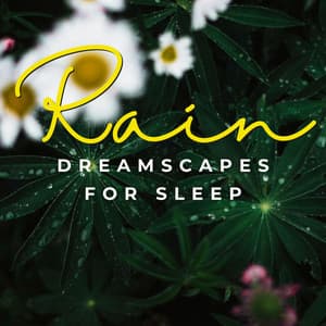 Euphonic Rainfall: Dreamscapes for Sleep - Rain For Deep Sleep