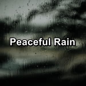 Peaceful Rain - Rain for Sleeping
