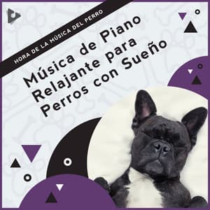 Música de Piano Relajante para Perros con Sueño - Hora de la Música del Perro