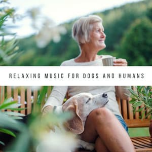 Relaxing Music for Dogs and Humans - Dog Bedtime