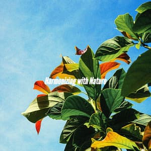 Harmonizing with Nature - Light Jazz Coffee House