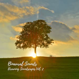 Binaural Sounds: Dreaming Soundscapes Vol. 2 - The Nature Soundscapes