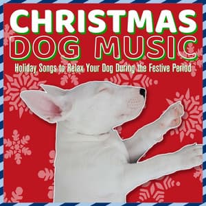 Christmas Dog Music: Holiday Songs to Relax Your Dog During the Festive Period - Dog Music