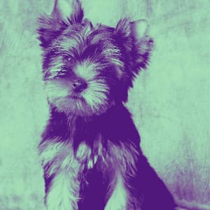 Feelings for Cooling Off Pups - Calming for Dogs