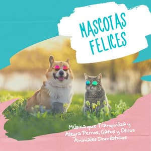 Mascotas Felices: Música que Tranquiliza y Alegra Perros, Gatos y Otros Animales Domésticos - Pensamiento Positivo