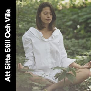 Att Sitta Still Och Vila - Avslappnande Meditation Akademi