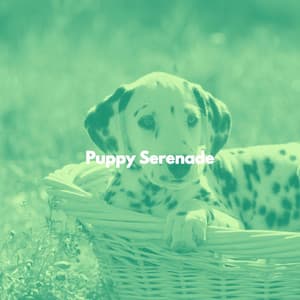 Puppy Serenade - Dog Separation Anxiety Music