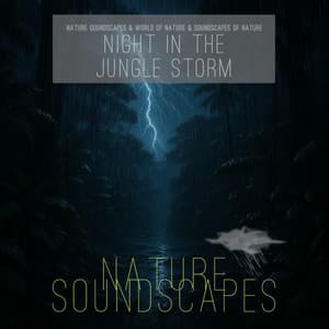 Night in the Jungle Storm - Nature Soundscapes