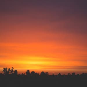 Work in Harmony: Piano Moments - Piano Harmony