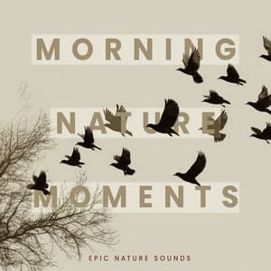 Morning Nature Moments - Epic Nature Sounds